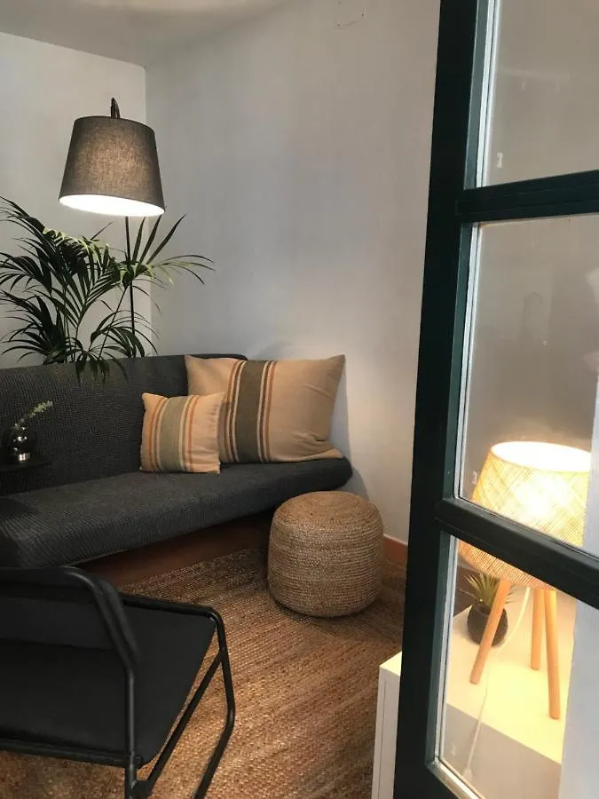 Apartment Apartamento Con Encanto Y Terraza En Barri Vell De Girona, El Cul De La Lleona Spain