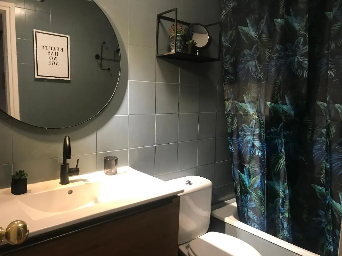 Apartamento Con Encanto Y Terraza En Barri Vell De Girona, El Cul De La Lleona 0*, Girona