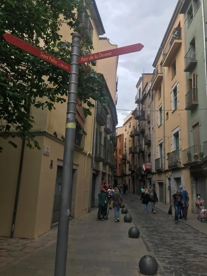 Apartamento Con Encanto Y Terraza En Barri Vell De Girona, El Cul De La Lleona Girona