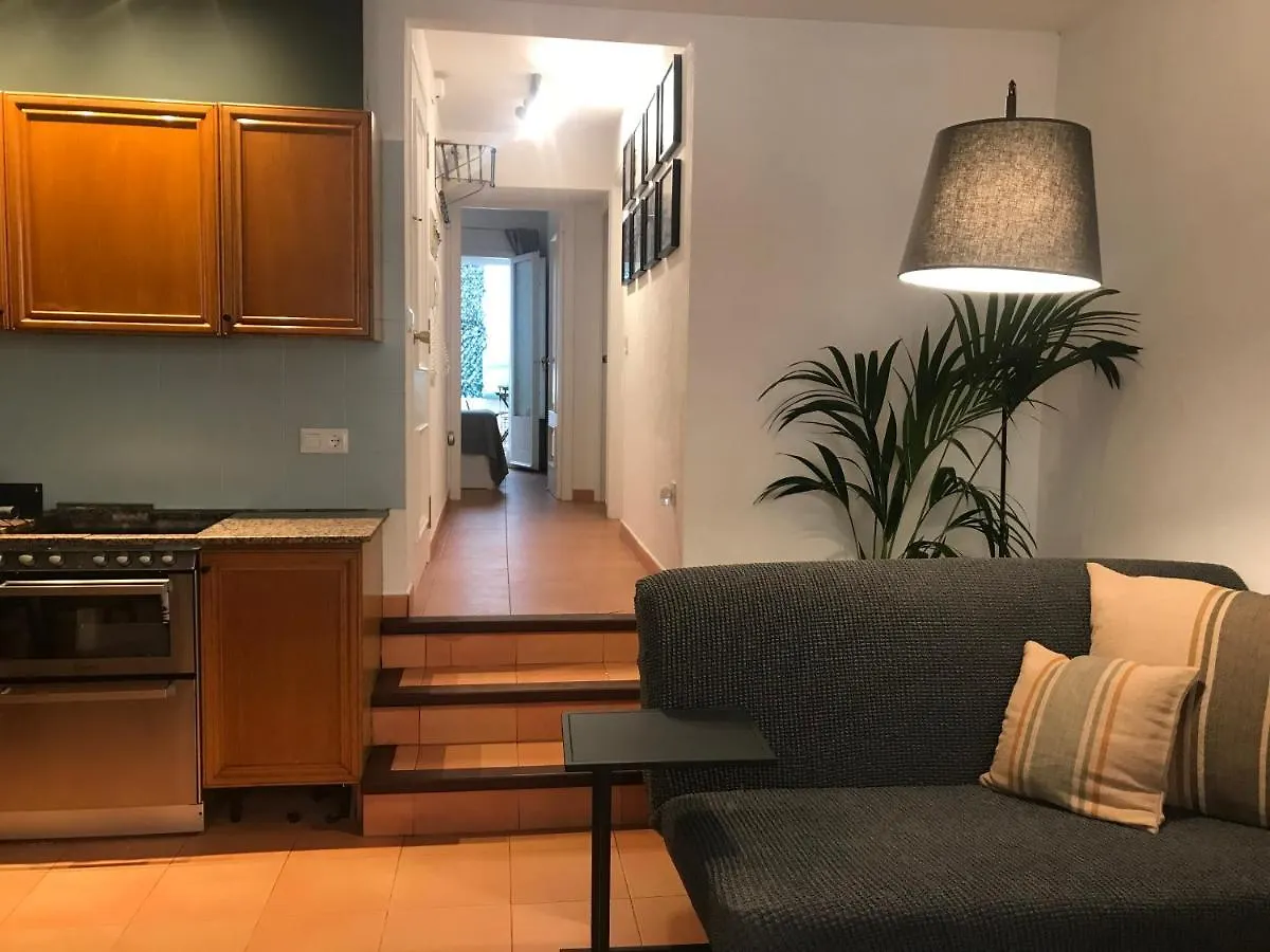 Apartamento Con Encanto Y Terraza En Barri Vell De Girona, El Cul De La Lleona Apartment Girona