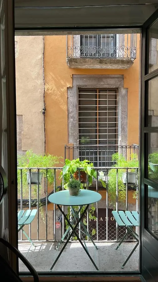 Apartamento Con Encanto Y Terraza En Barri Vell De Girona, El Cul De La Lleona 0*, Girona Spain