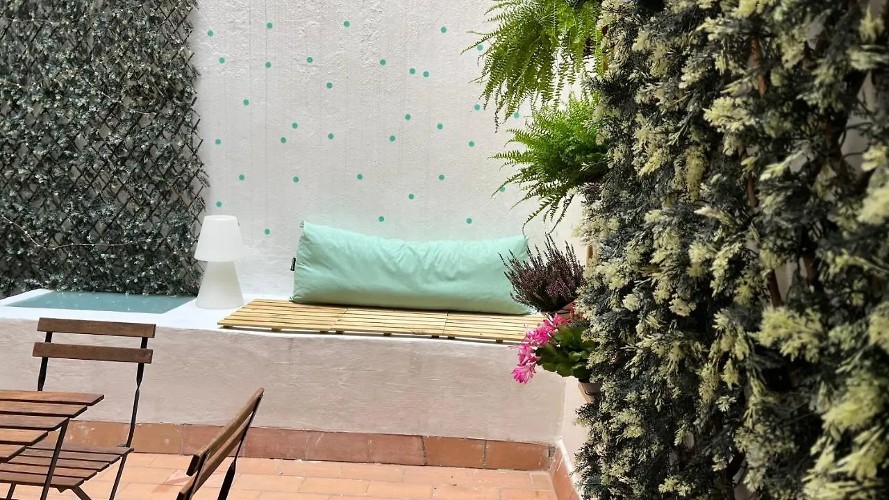 Apartamento Con Encanto Y Terraza En Barri Vell De Girona, El Cul De La Lleona Spain