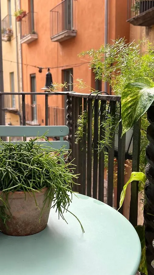 Apartamento Con Encanto Y Terraza En Barri Vell De Girona, El Cul De La Lleona Spain