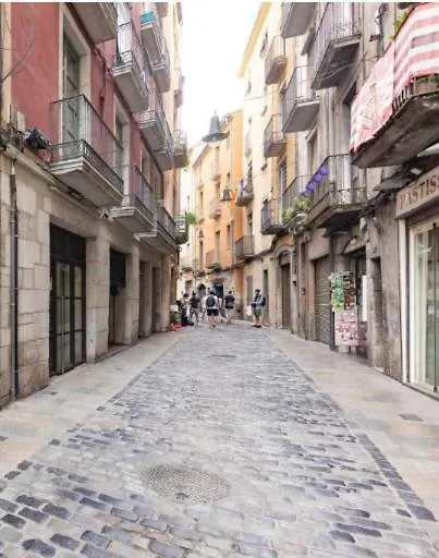 Apartamento Con Encanto Y Terraza En Barri Vell De Girona, El Cul De La Lleona Apartment
