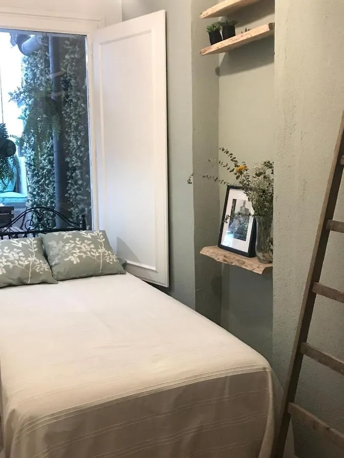 Apartmán Apartamento Con Encanto Y Terraza En Barri Vell De Girona, El Cul De La Lleona Španělsko