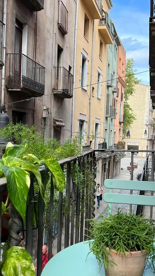 Apartamento Con Encanto Y Terraza En Barri Vell De Girona, El Cul De La Lleona
